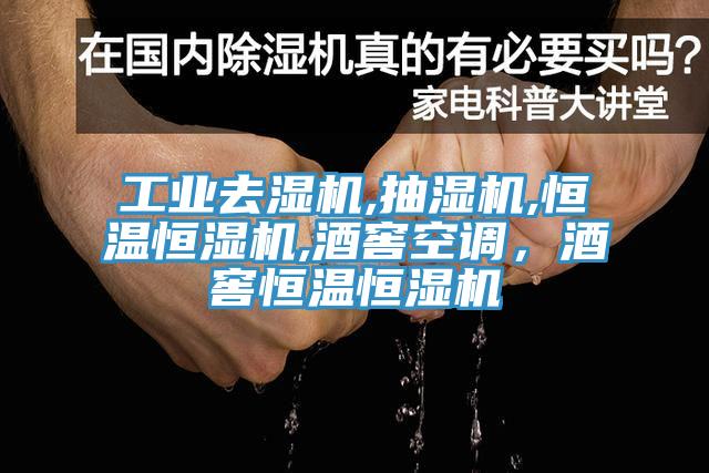 工業(yè)去濕機(jī),抽濕機(jī),恒溫恒濕機(jī),酒窖空調(diào)，酒窖恒溫恒濕機(jī)