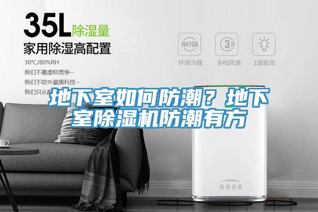 地下室如何防潮？地下室除濕機(jī)防潮有方