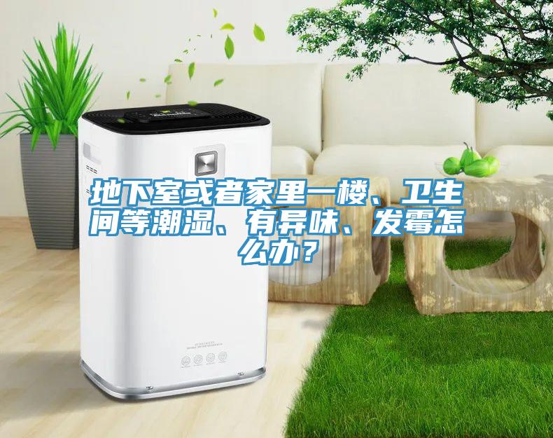 地下室或者家里一樓、衛(wèi)生間等潮濕、有異味、發(fā)霉怎么辦？