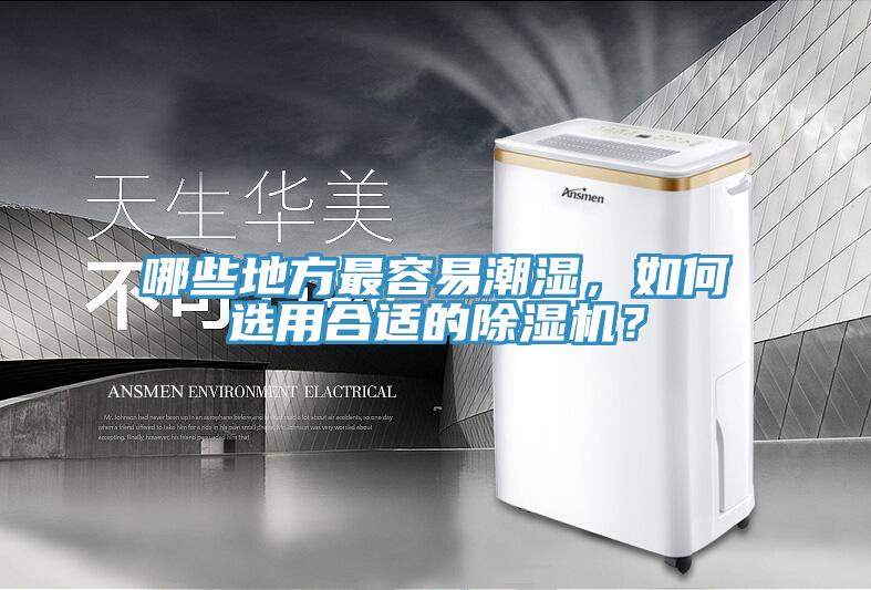 哪些地方最容易潮濕，如何選用合適的除濕機？