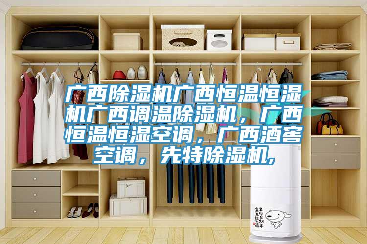 廣西除濕機廣西恒溫恒濕機廣西調(diào)溫除濕機，廣西恒溫恒濕空調(diào)，廣西酒窖空調(diào)，先特除濕機,