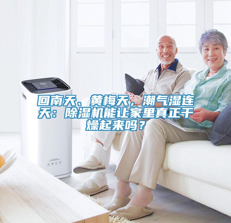 回南天、黃梅天，潮氣濕連天：除濕機(jī)能讓家里真正干燥起來(lái)嗎？