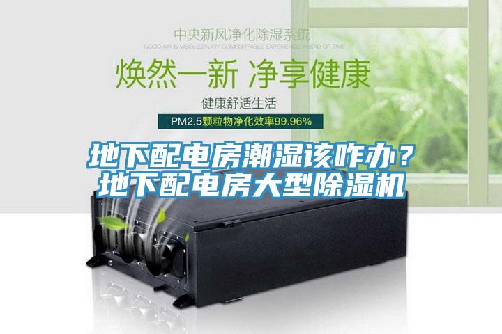 地下配電房潮濕該咋辦？地下配電房大型除濕機