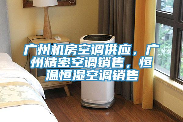 廣州機房空調(diào)供應(yīng)，廣州精密空調(diào)銷售，恒溫恒濕空調(diào)銷售