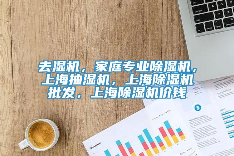 去濕機，家庭專業(yè)除濕機，上海抽濕機，上海除濕機批發(fā)，上海除濕機價錢