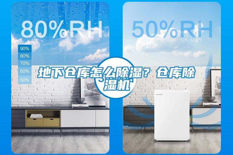 地下倉庫怎么除濕？倉庫除濕機(jī)