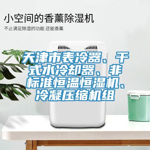 天津市表冷器、干式水冷卻器、非標準恒溫恒濕機、冷凝壓縮機組