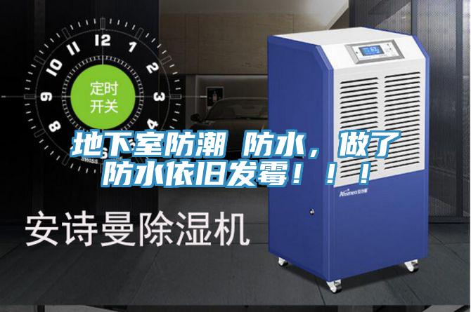 地下室防潮≠防水，做了防水依舊發(fā)霉！?。?></div>
								<div   id=