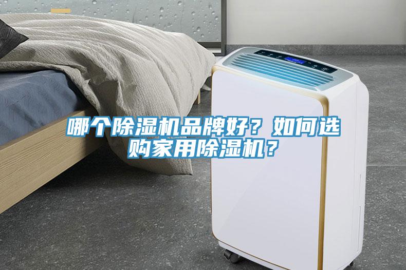 哪個除濕機品牌好？如何選購家用除濕機？