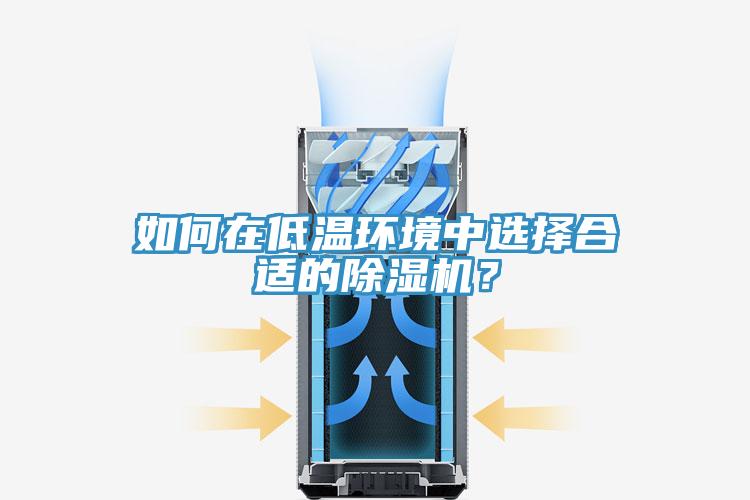如何在低溫環(huán)境中選擇合適的除濕機？