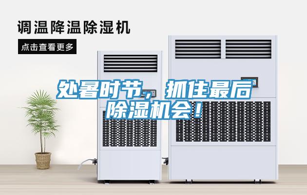 處暑時節(jié)，抓住最后除濕機會！