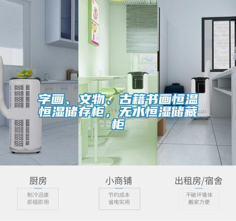 字畫、文物、古籍書畫恒溫恒濕儲存柜，無水恒濕儲藏柜