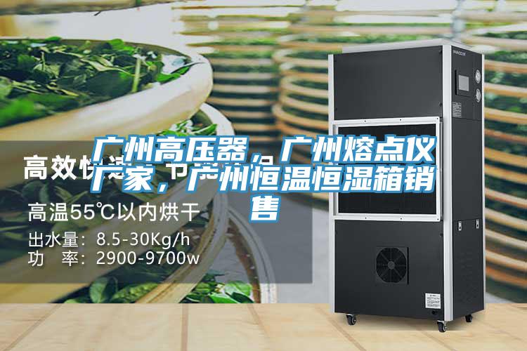 廣州高壓器，廣州熔點儀廠家，廣州恒溫恒濕箱銷售