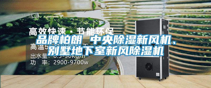 品牌柏朗 中央除濕新風(fēng)機、別墅地下室新風(fēng)除濕機