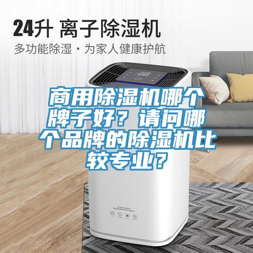 商用除濕機(jī)哪個牌子好？請問哪個品牌的除濕機(jī)比較專業(yè)？
