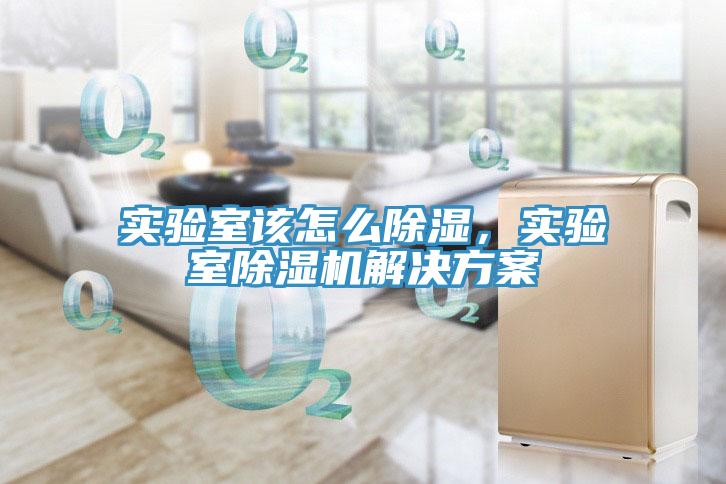 實(shí)驗(yàn)室該怎么除濕，實(shí)驗(yàn)室除濕機(jī)解決方案