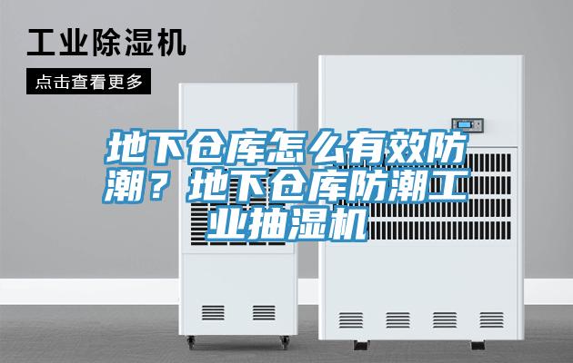 地下倉庫怎么有效防潮？地下倉庫防潮工業(yè)抽濕機(jī)