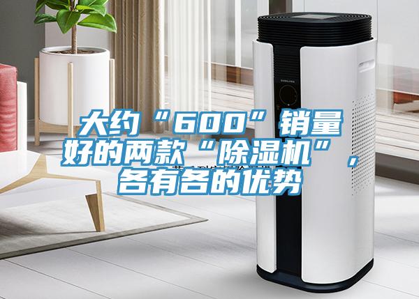 大約“600”銷量好的兩款“除濕機(jī)”，各有各的優(yōu)勢(shì)