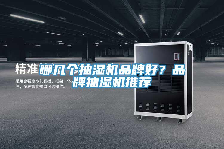 哪幾個抽濕機品牌好？品牌抽濕機推薦