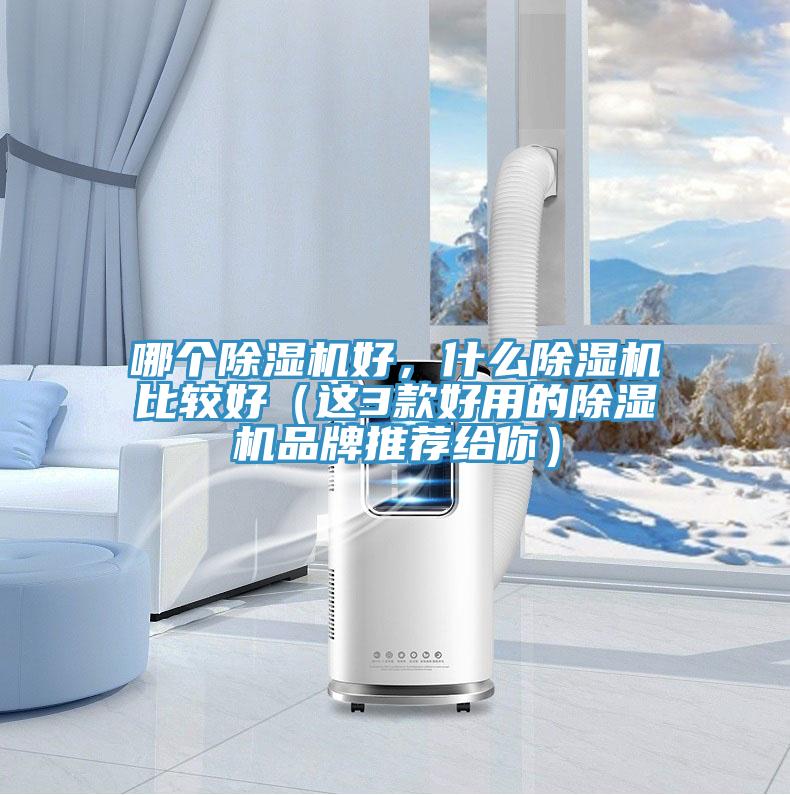 哪個除濕機好，什么除濕機比較好（這3款好用的除濕機品牌推薦給你）