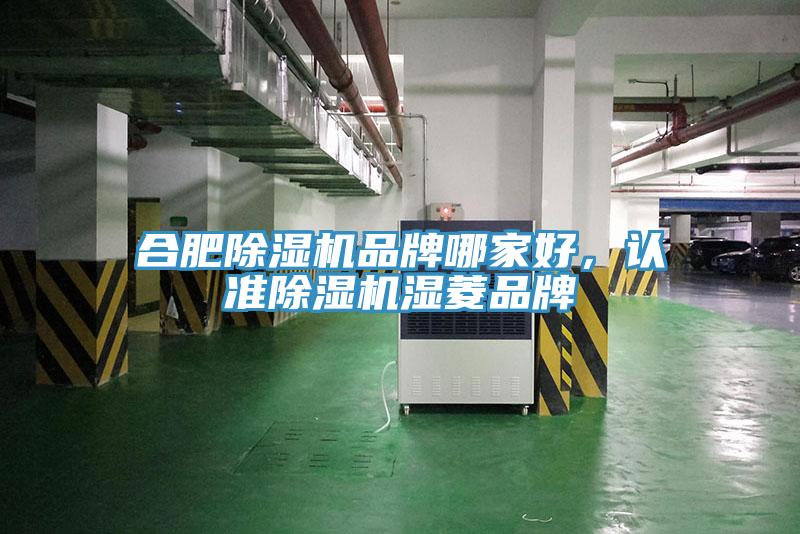 合肥除濕機(jī)品牌哪家好，認(rèn)準(zhǔn)除濕機(jī)濕菱品牌