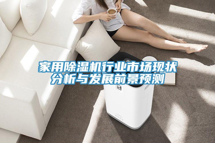 家用除濕機行業(yè)市場現狀分析與發(fā)展前景預測