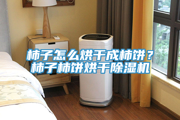 柿子怎么烘干成柿餅？柿子柿餅烘干除濕機(jī)