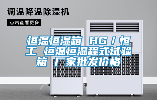 恒溫恒濕箱 HG／恒工 恒溫恒濕程式試驗(yàn)箱 廠家批發(fā)價格