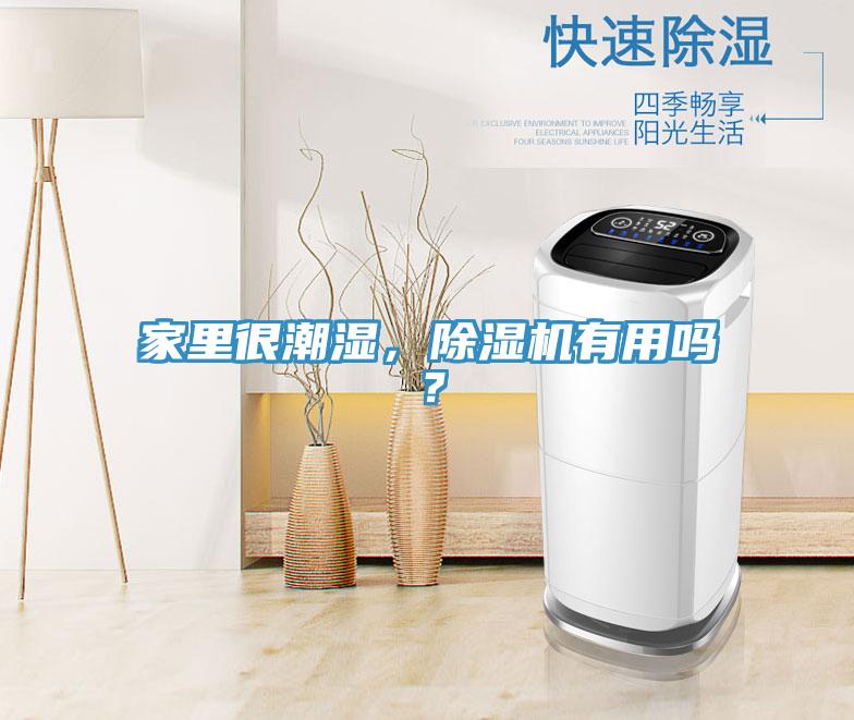 家里很潮濕，除濕機(jī)有用嗎？