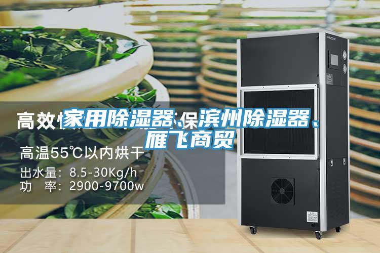 家用除濕器、濱州除濕器、雁飛商貿(mào)