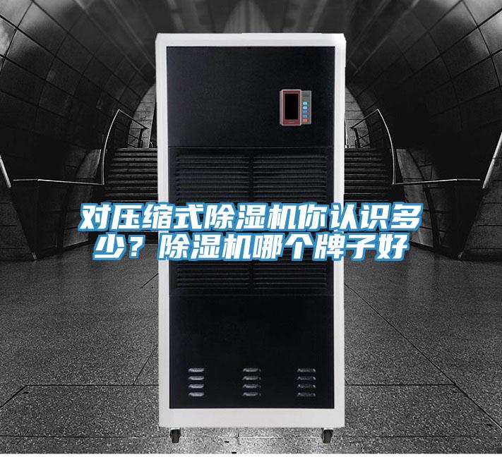 對(duì)壓縮式除濕機(jī)你認(rèn)識(shí)多少？除濕機(jī)哪個(gè)牌子好
