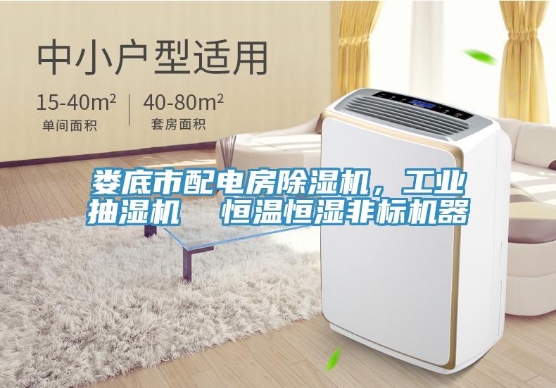 婁底市配電房除濕機(jī)，工業(yè)抽濕機(jī)  恒溫恒濕非標(biāo)機(jī)器