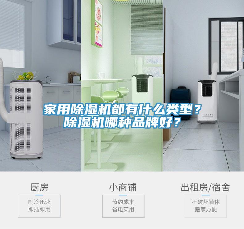 家用除濕機(jī)都有什么類型？除濕機(jī)哪種品牌好？