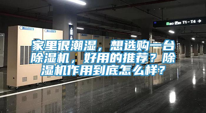 家里很潮濕，想選購一臺(tái)除濕機(jī)，好用的推薦？除濕機(jī)作用到底怎么樣？