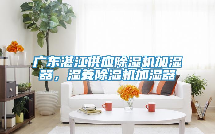 廣東湛江供應除濕機加濕器，濕菱除濕機加濕器