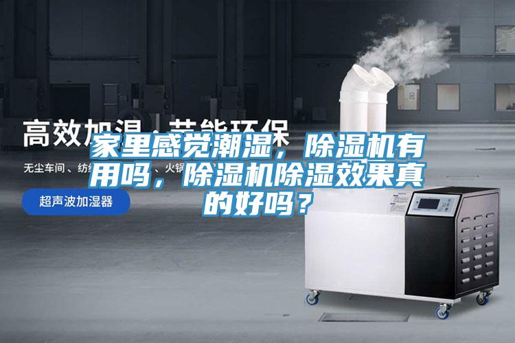 家里感覺潮濕，除濕機(jī)有用嗎，除濕機(jī)除濕效果真的好嗎？
