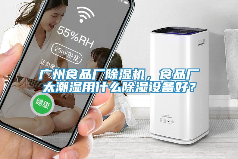 廣州食品廠除濕機，食品廠太潮濕用什么除濕設備好？