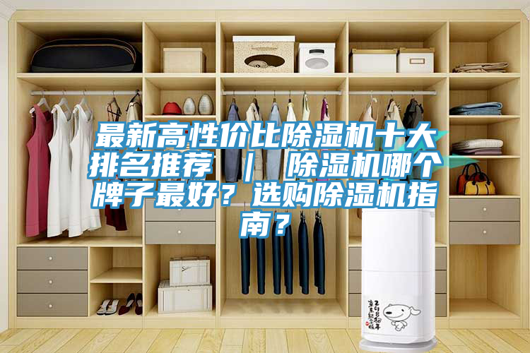最新高性價比除濕機(jī)十大排名推薦 ｜ 除濕機(jī)哪個牌子最好？選購除濕機(jī)指南？