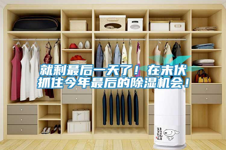 就剩最后一天了！在末伏抓住今年最后的除濕機(jī)會(huì)！