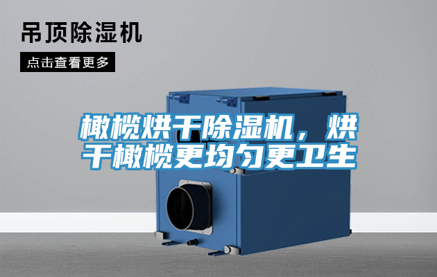 橄欖烘干除濕機(jī)，烘干橄欖更均勻更衛(wèi)生