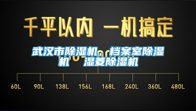 武漢市除濕機，檔案室除濕機  濕菱除濕機