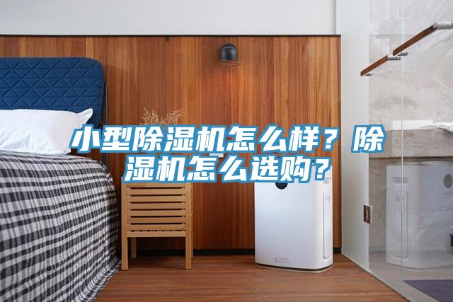 小型除濕機怎么樣？除濕機怎么選購？