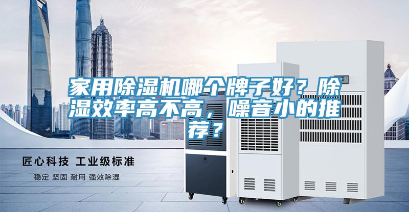 家用除濕機哪個牌子好？除濕效率高不高，噪音小的推薦？