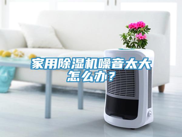 家用除濕機(jī)噪音太大怎么辦？