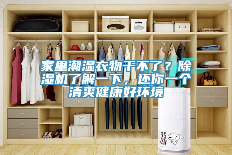 家里潮濕衣物干不了？除濕機(jī)了解一下，還你一個(gè)清爽健康好環(huán)境