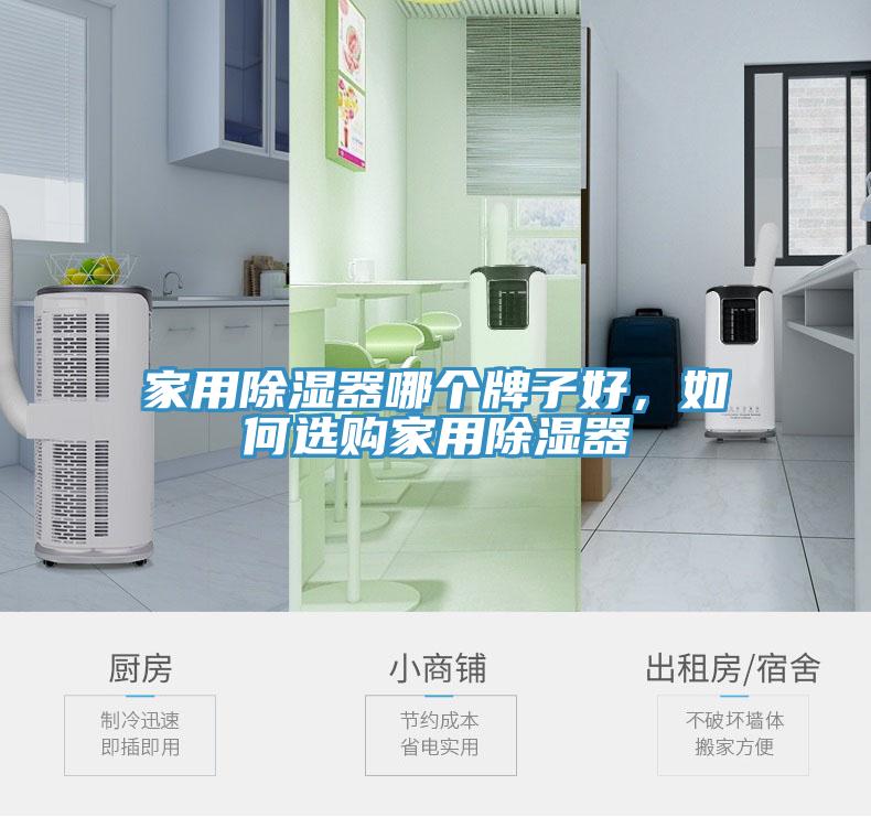 家用除濕器哪個牌子好，如何選購家用除濕器