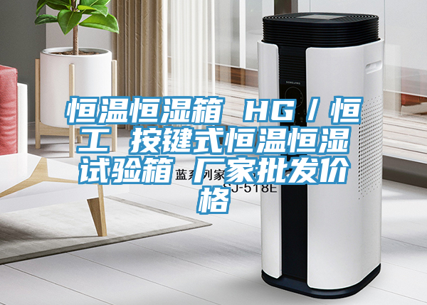 恒溫恒濕箱 HG／恒工 按鍵式恒溫恒濕試驗(yàn)箱 廠家批發(fā)價格