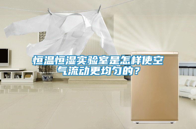 恒溫恒濕實驗室是怎樣使空氣流動更均勻的？