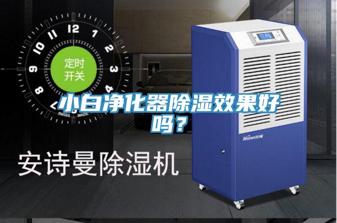 小白凈化器除濕效果好嗎？