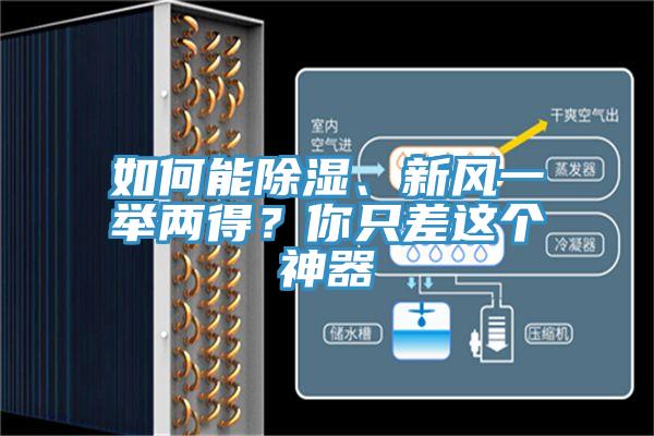 如何能除濕、新風(fēng)一舉兩得？你只差這個(gè)神器